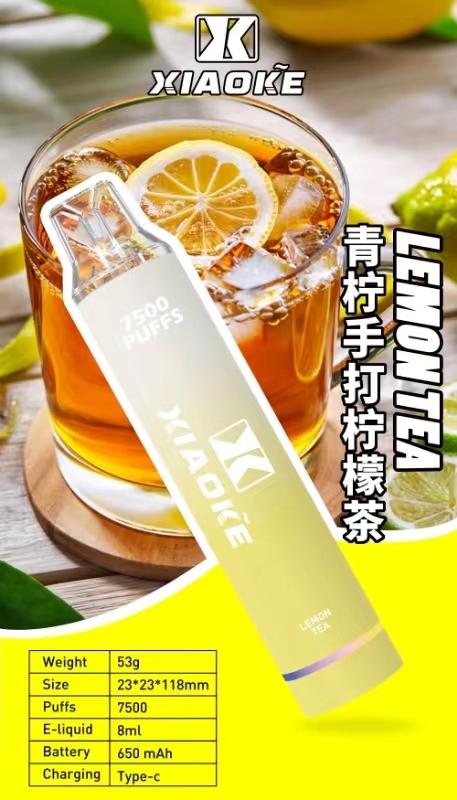 【XIAOKE 梟客】🪄拋棄式🍬 一次性霧化商品 7500口 (可充電)